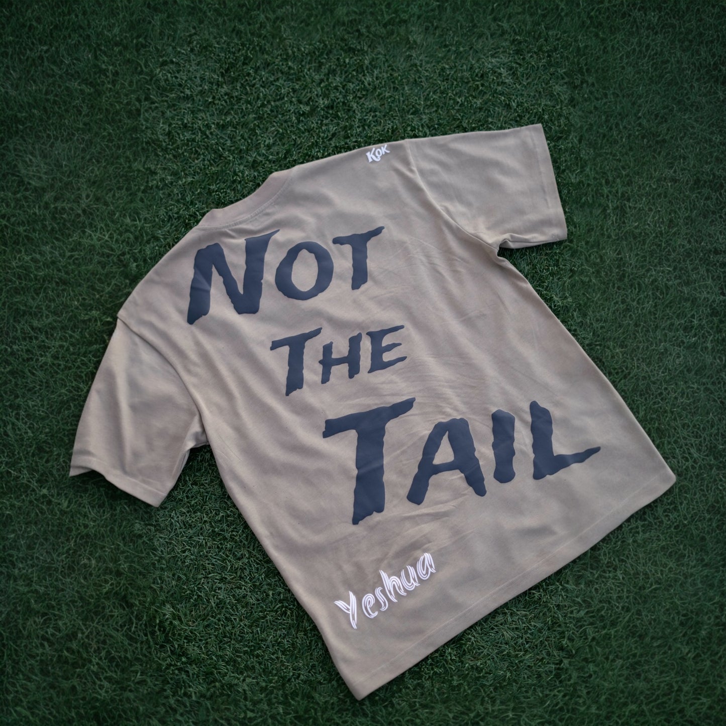 Deuteronomy 28:13 Oversized  Box-Tee